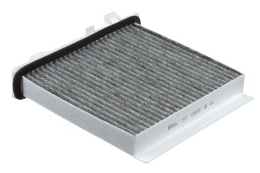 RAF Filter RSTC001MI Фильтр салона угольный - 1