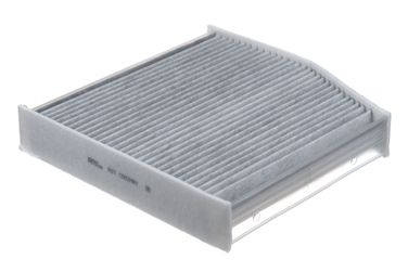 RAF Filter RSTC002MBY Фильтр салона угольный - 2
