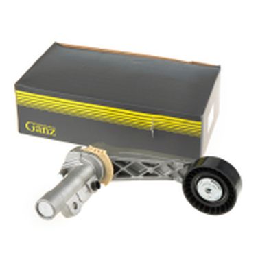 GANZ GIE37376 Ролик натяжной citroen Berlingo 09->/c2,c3,c4,ds3 - 1