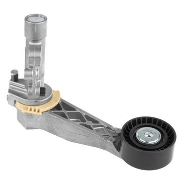 GANZ GIE37376 Ролик натяжной citroen Berlingo 09->/c2,c3,c4,ds3 - 2