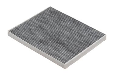 RAF Filter RSTC036CHE Фильтр салона угольный - 1