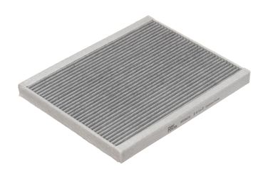 RAF Filter RSTC036CHE Фильтр салона угольный - 2