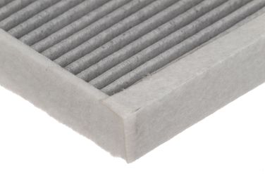 RAF Filter RSTC036CHE Фильтр салона угольный - 4