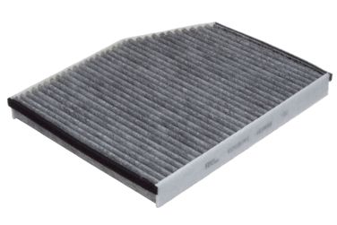 RAF Filter RSTC007FO Фильтр салона угольный - 1