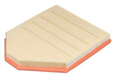 RAF Filter AF064 Фильтр воздушный - 2