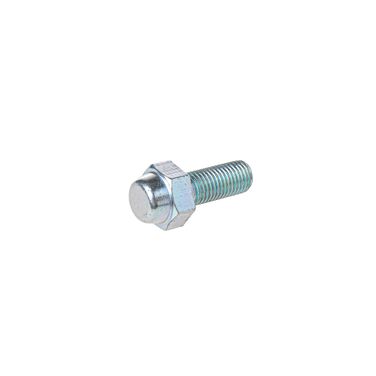 GANZ GUM05063 Болт M10x25 Суппорта с Ограничителем Нижний - 1