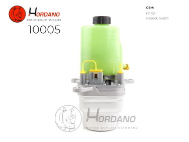 HORDANO 10005 Насос ГУР ford focus II (da_) - 1