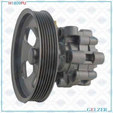 GELZER H1809PU Насос ГУР Cadillac CTS 2002-2007 - 4
