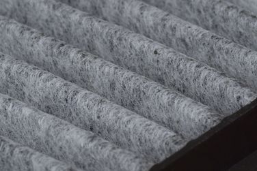 RAF Filter RSTC001BMY Фильтр салона угольный - 3