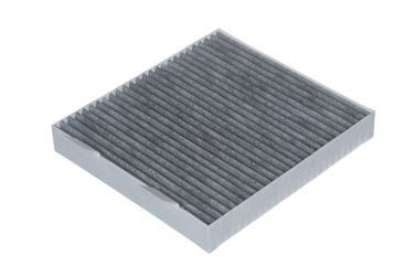 RAF Filter RSTC029GW Фильтр салона угольный - 2