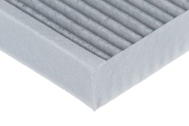 RAF Filter RSTC029GW Фильтр салона угольный - 5
