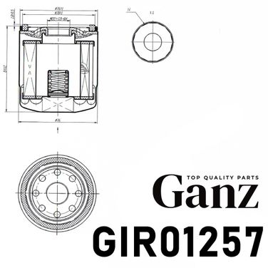 GANZ GIR01257 Фильтр масляный transit tourneo custom 2012- transit 2014- - 4