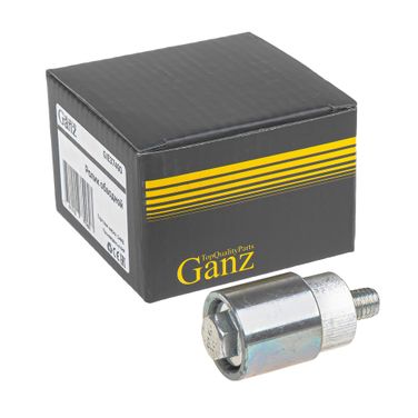 GANZ GIE37490 Ролик обводной chery Tiggo 5/dr5 mot.1,6/2,0L 2014-> - 1