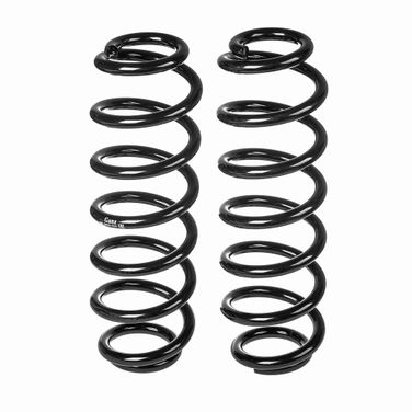 GANZ GIK02605 Пружина задняя chery T19 - 1