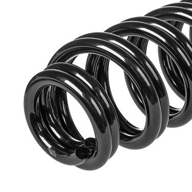 GANZ GIK02605 Пружина задняя chery T19 - 3