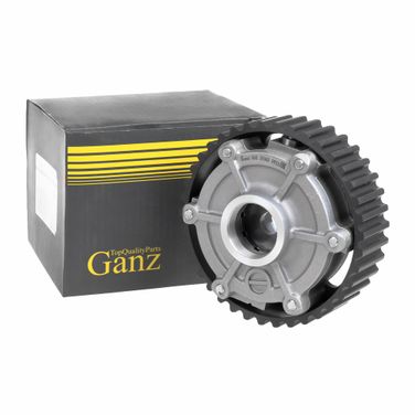 GANZ GIE31062 Шкив renault - 1