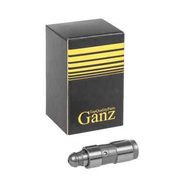 GANZ GIE09051 Гидрокомпенсатор renault - 1