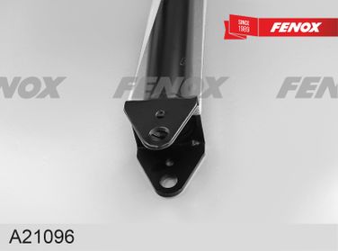 Fenox A21096 Амортизатор - 4