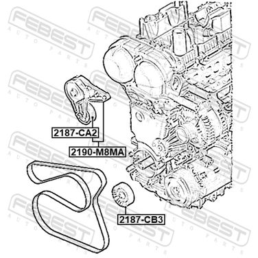 Febest 2190-M8MA Натяжитель ремня - 2