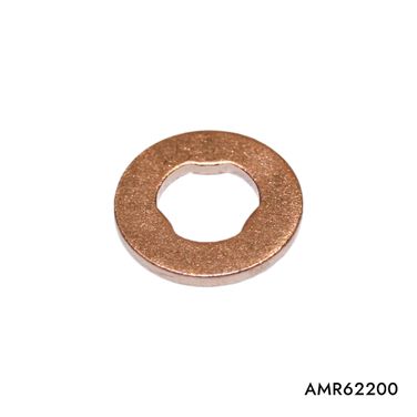AMR AMR62200 Шайба топливной форсунки - 1