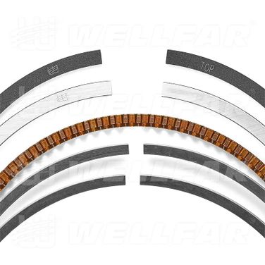 WELLFAR 005-504630-000 Кольца поршневые (комплект на 1 поршень) - 3