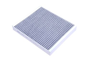 RAF Filter RSTC018 Фильтр салона угольный - 1