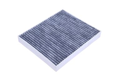 RAF Filter RSTC018 Фильтр салона угольный - 2