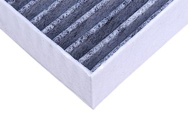 RAF Filter RSTC018 Фильтр салона угольный - 4