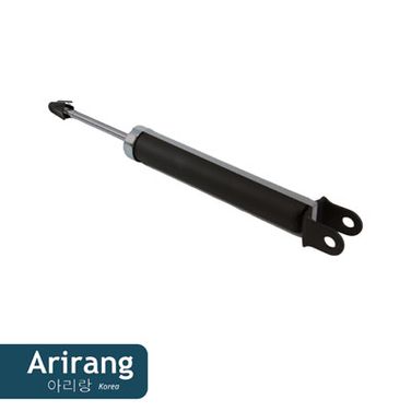Arirang ARG261020 Амортизатор задний GAS - 3