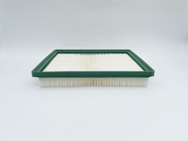 BIG Filter GB-95184 Фильтр воздушный - 1