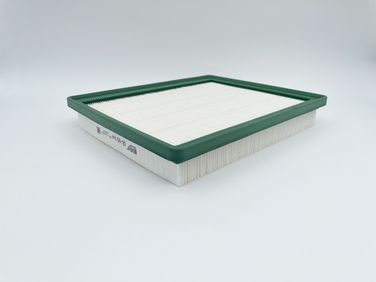 BIG Filter GB-95184 Фильтр воздушный - 4