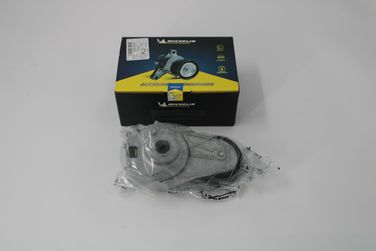 MICHELIN FMMT03741 Ролик ремня ГРМ - 2