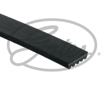 Gates 5PK1303 XF 58389 Ремень поликлиновый - 2
