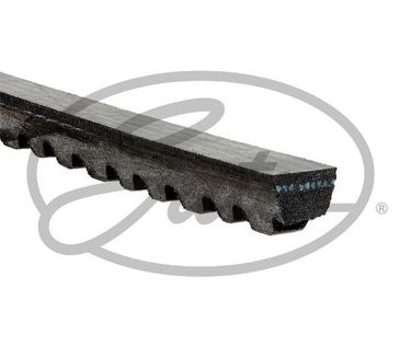 Gates 6265MC 10x938 Ремень клиновый - 2