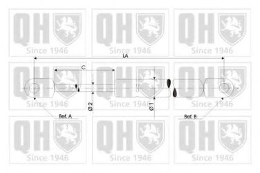 Quinton Hazell QTS128191 Амортизатор крышки багажника - 1