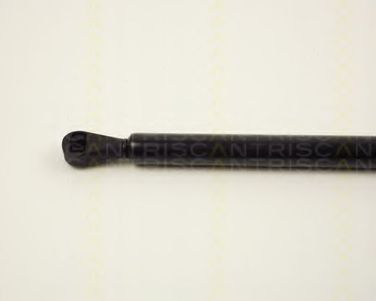 Triscan 8710 2805 Амортизатор крышки багажника - 2