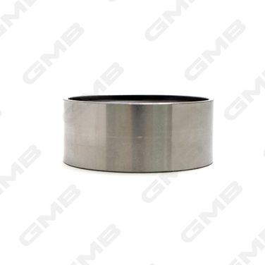GMB GT60250 Ролик натяжной ГРМ - 2