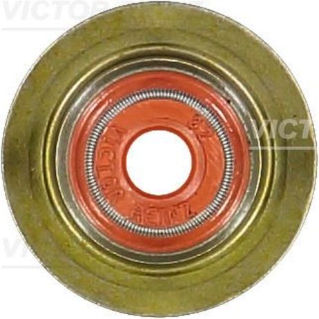 Victor Reinz 70-39398-00 Уплотнительное кольцо, стержень кла