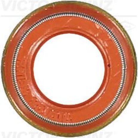 Victor Reinz 70-39489-00 Уплотнительное кольцо, стержень кла