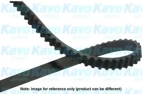 KAVO PARTS DTB-8007 Ремень ГРМ