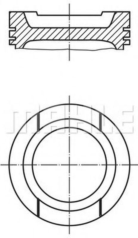 Mahle 030 92 02 Поршнекомплект