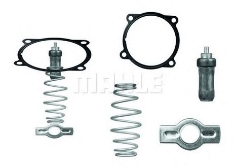 Mahle TX 51 79D Вставка термостата
