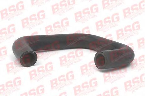 фото BSG BSG 30-720-048 Шланг BSG BSG 30-720-048 Шланг