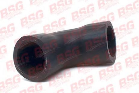 фото BSG BSG 30-720-099 Трубка нагнетаемого воздуха BSG BSG 30-720-099 Трубка нагнетаемого воздуха
