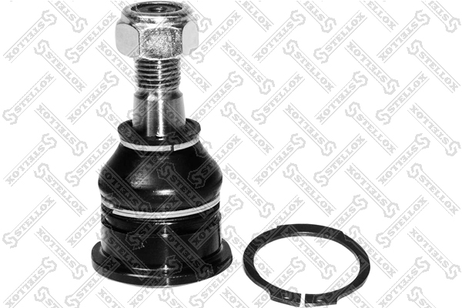 фото Stellox 52-01577-SX Шар. опора нижн. л.+п. Nissan Primera<02 | перед прав | Stellox 52-01577-SX Шар. опора нижн. л.+п. Nissan Primera<02 | перед прав |