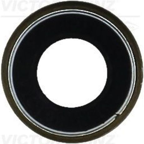 Victor Reinz 70-42546-00 Уплотнительное кольцо, стержень кла