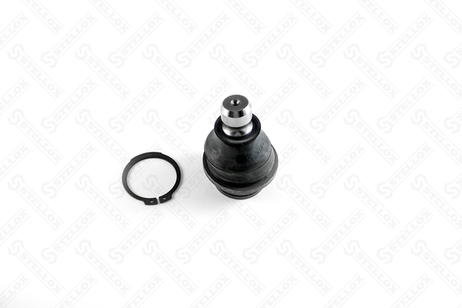 фото Stellox 52-00309-SX Шар.опор.ниж. Nissan Frontier D40 05> | перед прав/лев | Stellox 52-00309-SX Шар.опор.ниж. Nissan Frontier D40 05> | перед прав/лев |