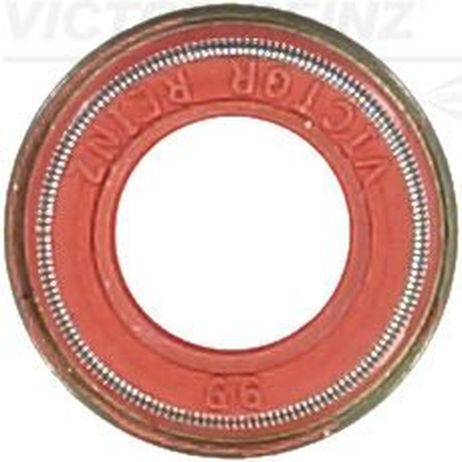 Victor Reinz 70-42054-00 Уплотнительное кольцо, стержень кла