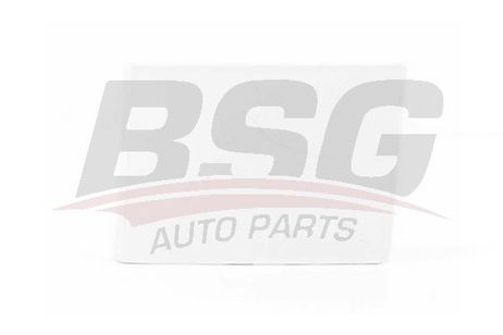 BSG BSG30-922-058 Заглушка заднего бампера, под крюк буксировочный / ford Focus-I (Sedan) 98~