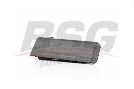 BSG BSG 30-970-037 Наружная ручка двери | перед лев |